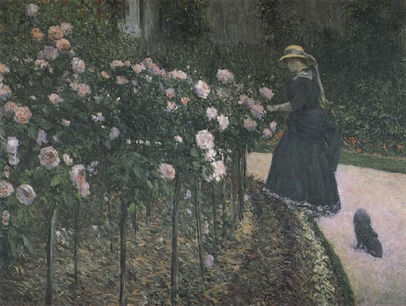 Gustave Caillebotte Some Rose in the garden oil painting picture